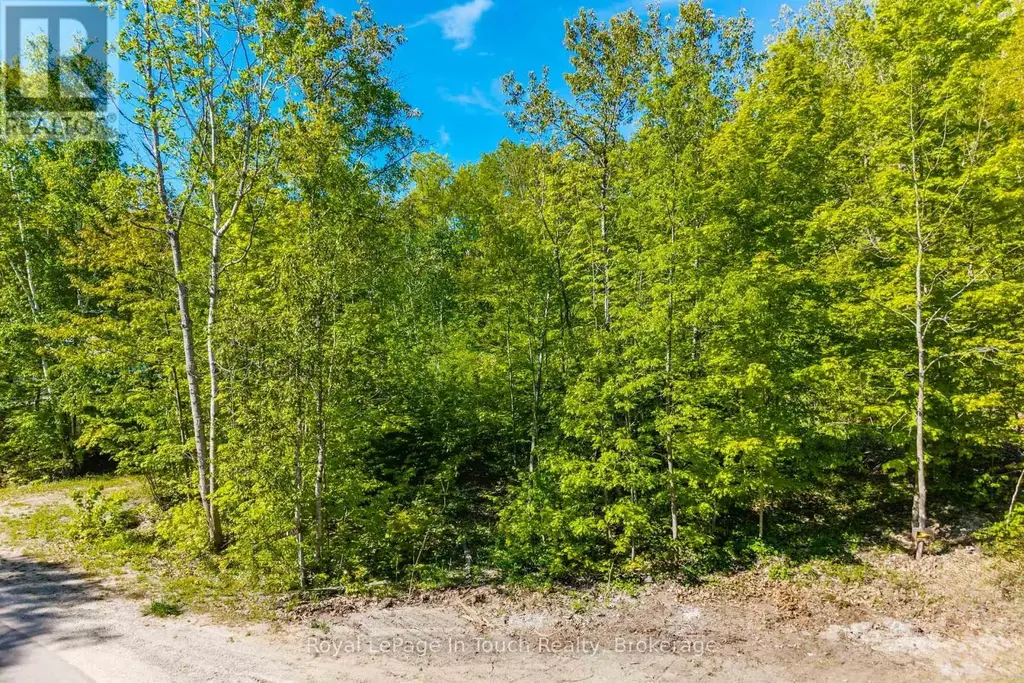 1536 Champlain Road, Tiny